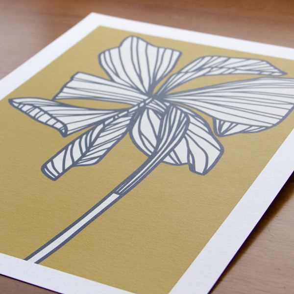 Daffodil Pebble Grey Art Print