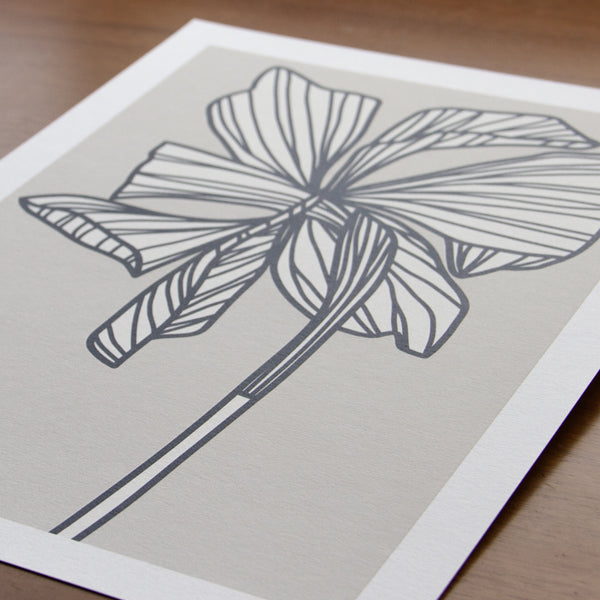 Daffodil Pebble Grey Art Print