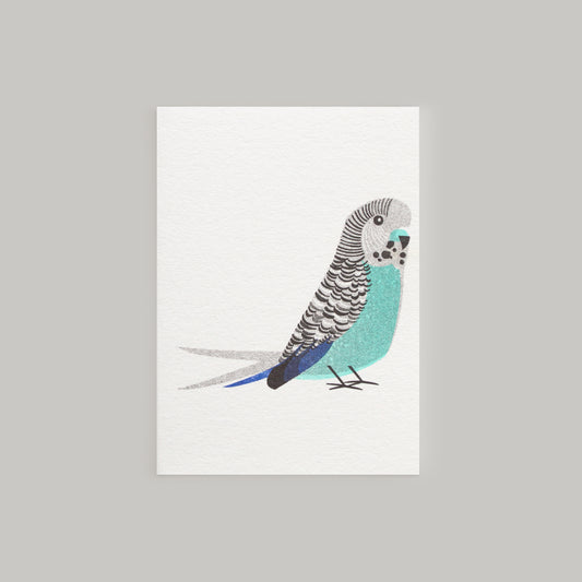 Blue Budgie Mini Card