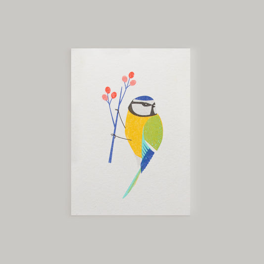 Blue Tit Mini Card