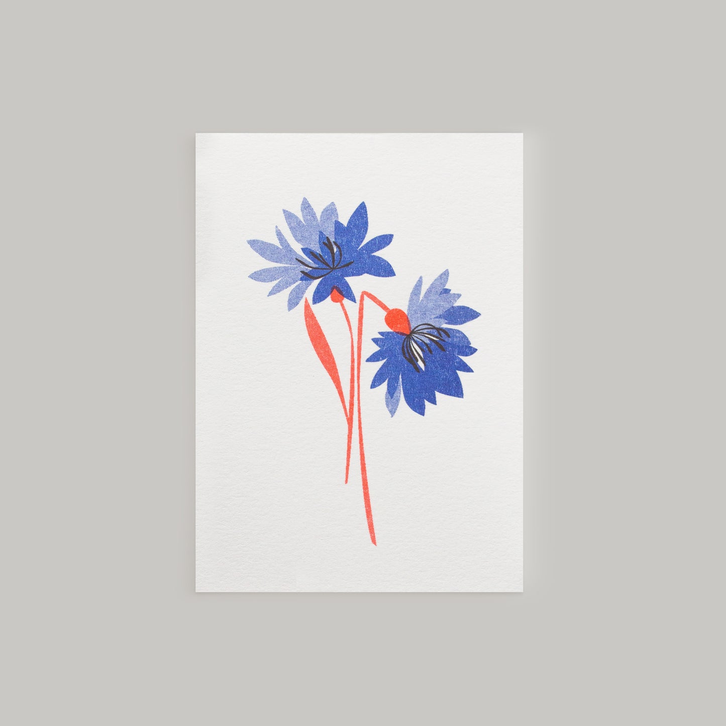Cornflower Mini Card