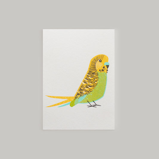 Green Budgie Mini Card