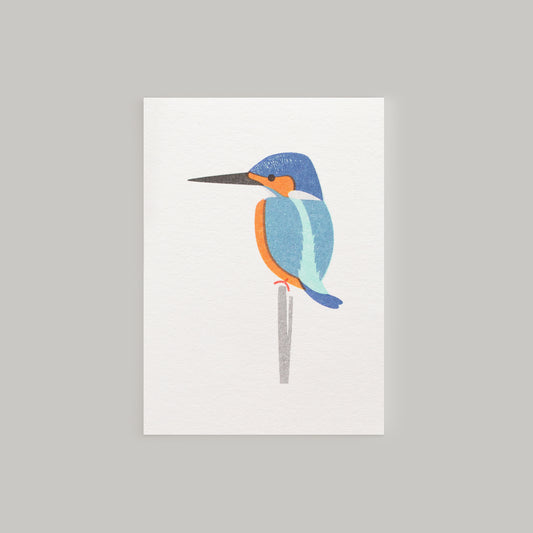 Kingfisher Mini Card
