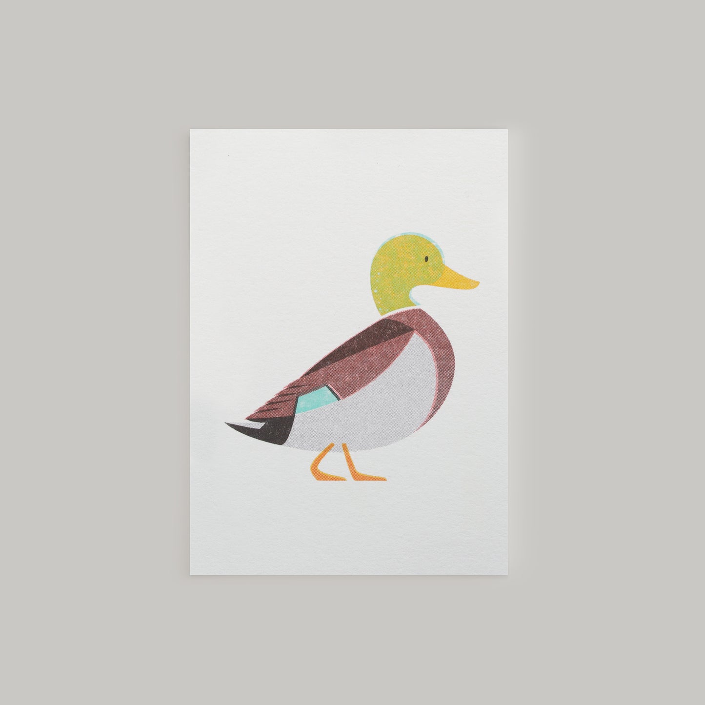 Mallard Duck Mini Card
