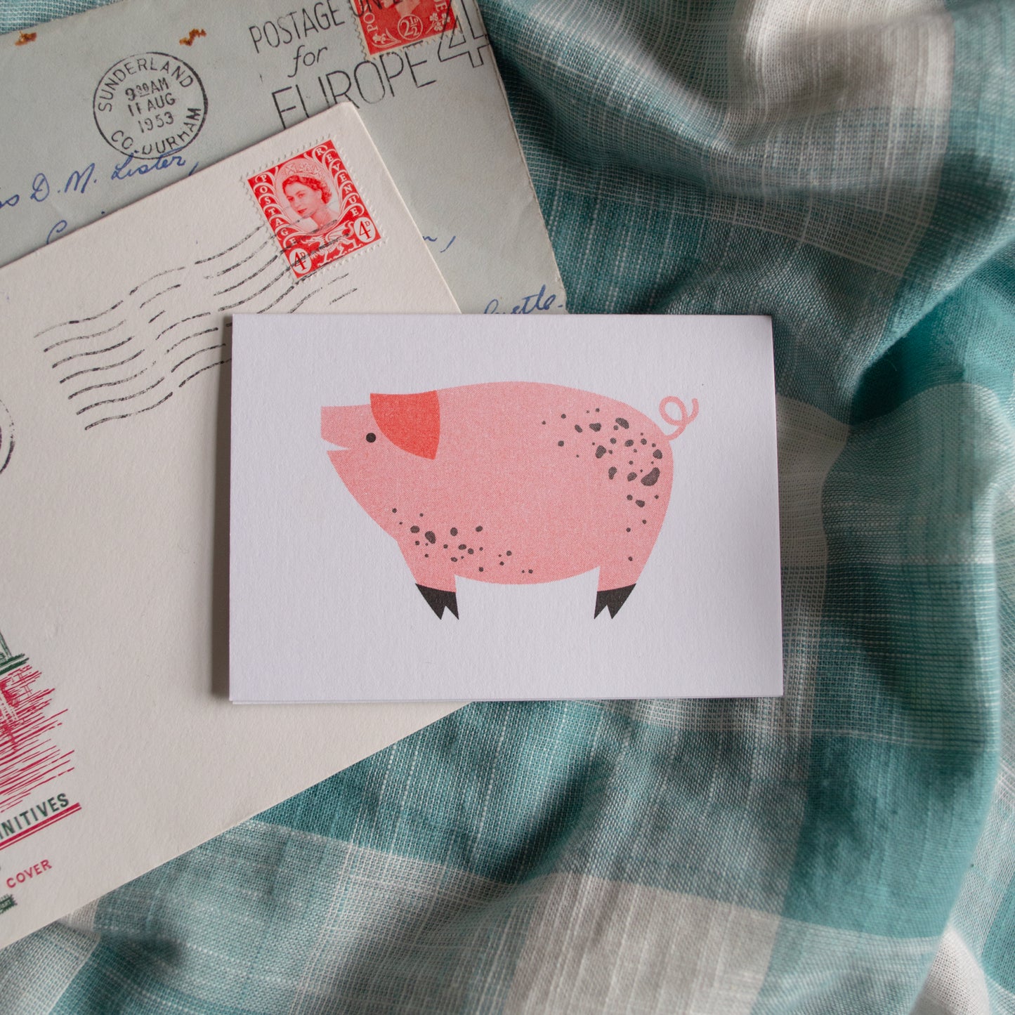 Piggy Mini Card