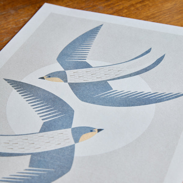 Swallows