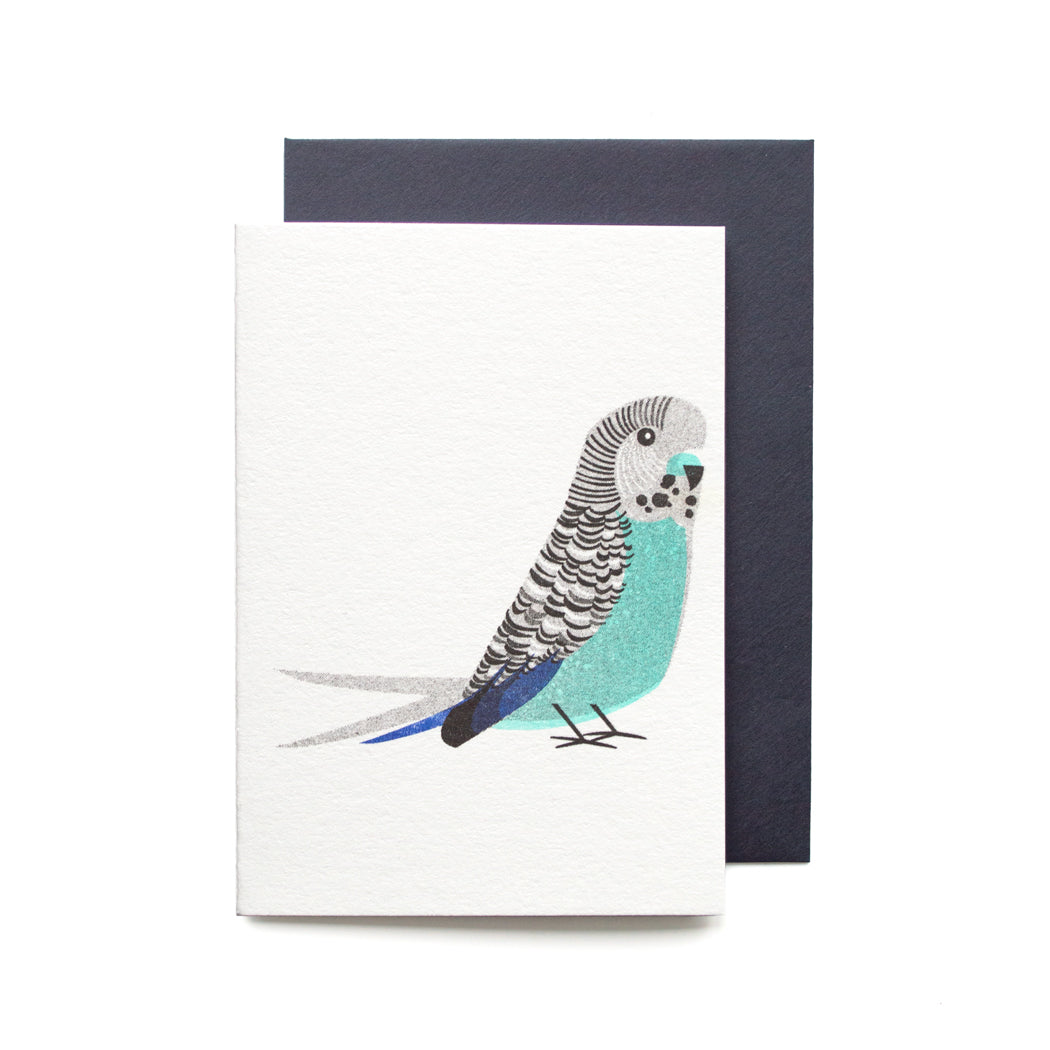 Blue Budgie Mini Card SECONDS