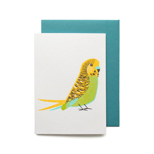 Green Budgie Mini Card SECONDS