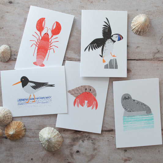 Modern Coastal Mini Card Bundle