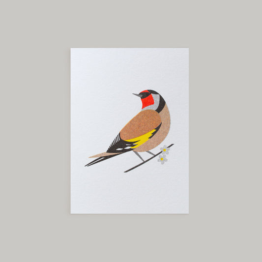 Goldfinch Mini Card