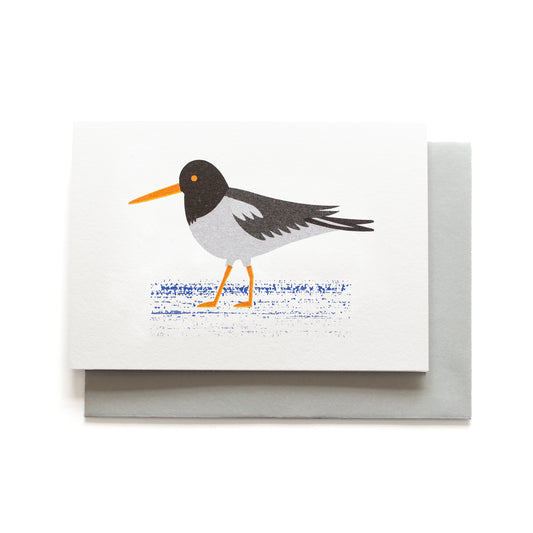 Oystercatcher Mini Card SECONDS