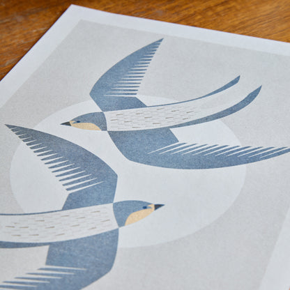 Swallows