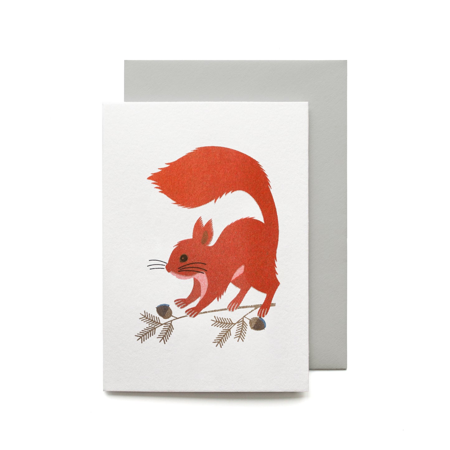 Red Squirrel Mini Card